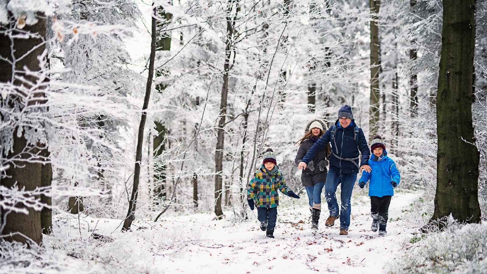 Father with three kids running in beautiful winter forest. The little girl is aged 10 and her brothers are aged 7. Cold winter day